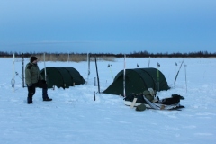 jaaseikkailu2011