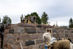 20220824_KotikolonHartaus_PetteriKeskikuru_7161