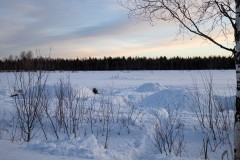 IMG_0621