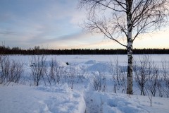 IMG_0622