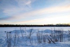 IMG_0624