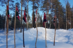 Vartioiden viirejä