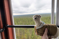 20220827_SaVaRok_PetteriKeskikuru_7313